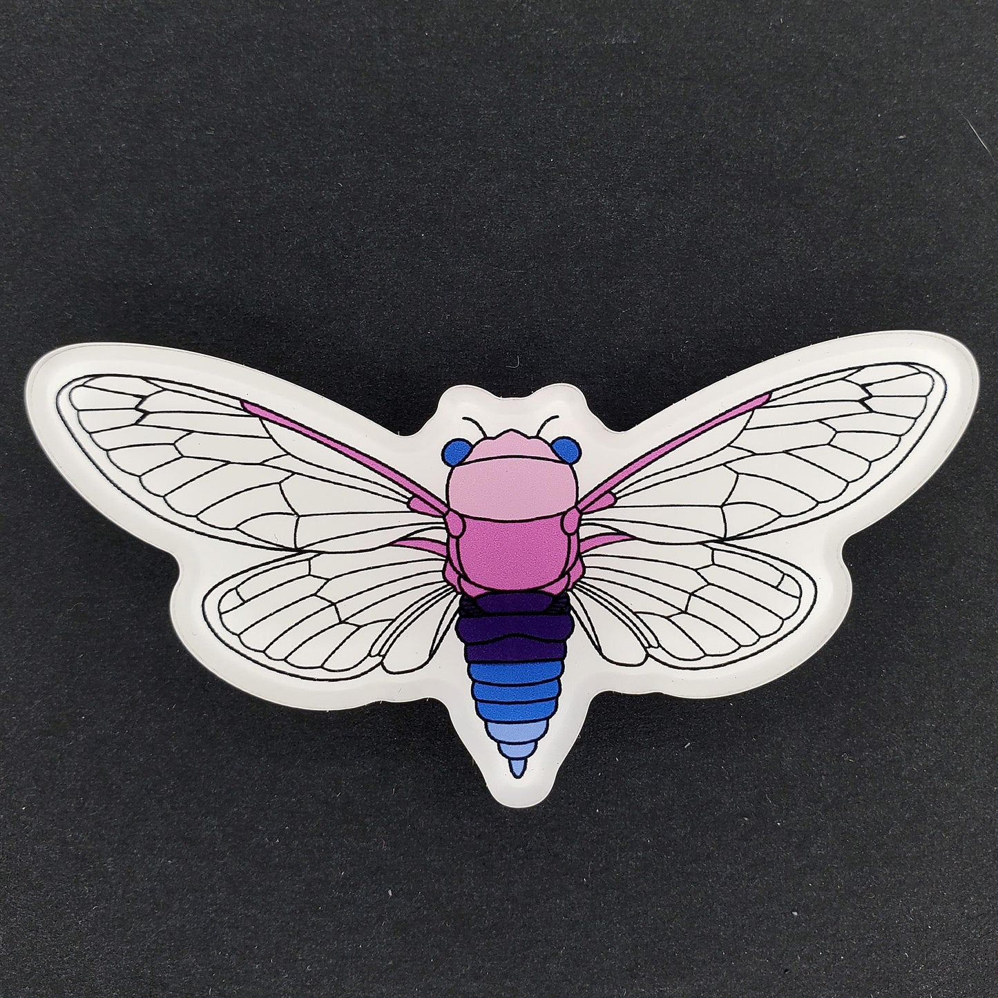 Omnisexual Cicada Magnet
