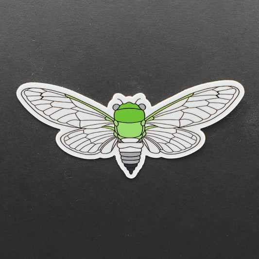Aromantic Cicada Sticker