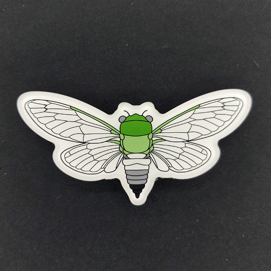 Aromantic Cicada Magnet