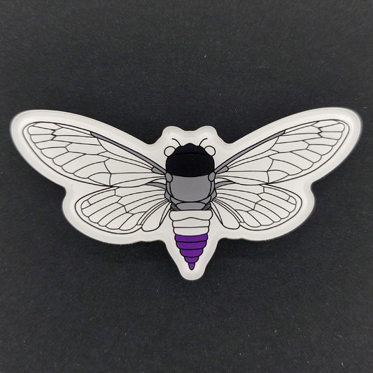 Asexual Cicada Magnet