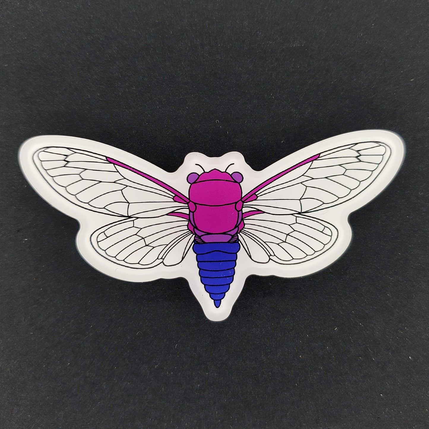 Bisexual Cicada Magnet